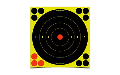 Birchwood Casey Shoot-N-C Target
