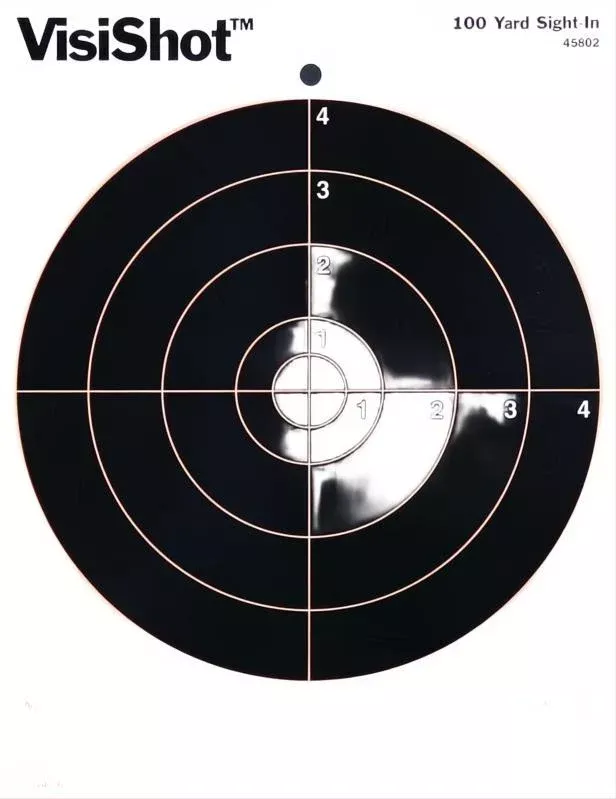 Champion Visishot Bulls Eye Target 10 Pack