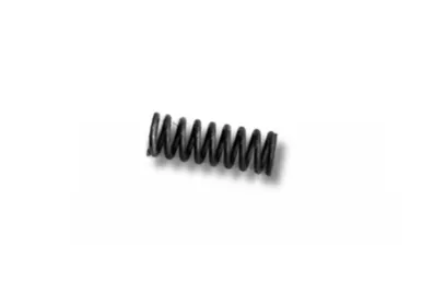 H&R PARDNER PUMP, SPRING SEAR