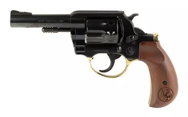 HENRY REVLR 22LR 10RD 4 BIRDSHEAD