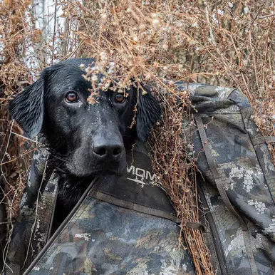 HIGDON INVISI-LAB DOG BLIND OPTIFADE TIMBER