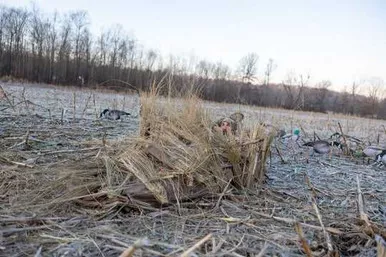 HIGDON QUICK DRAW LAYOUT BLIND DIRT