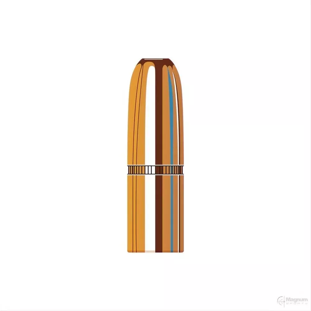 Hornady 423 Cal (.423 Diameter) DGS 400gr Projectiles