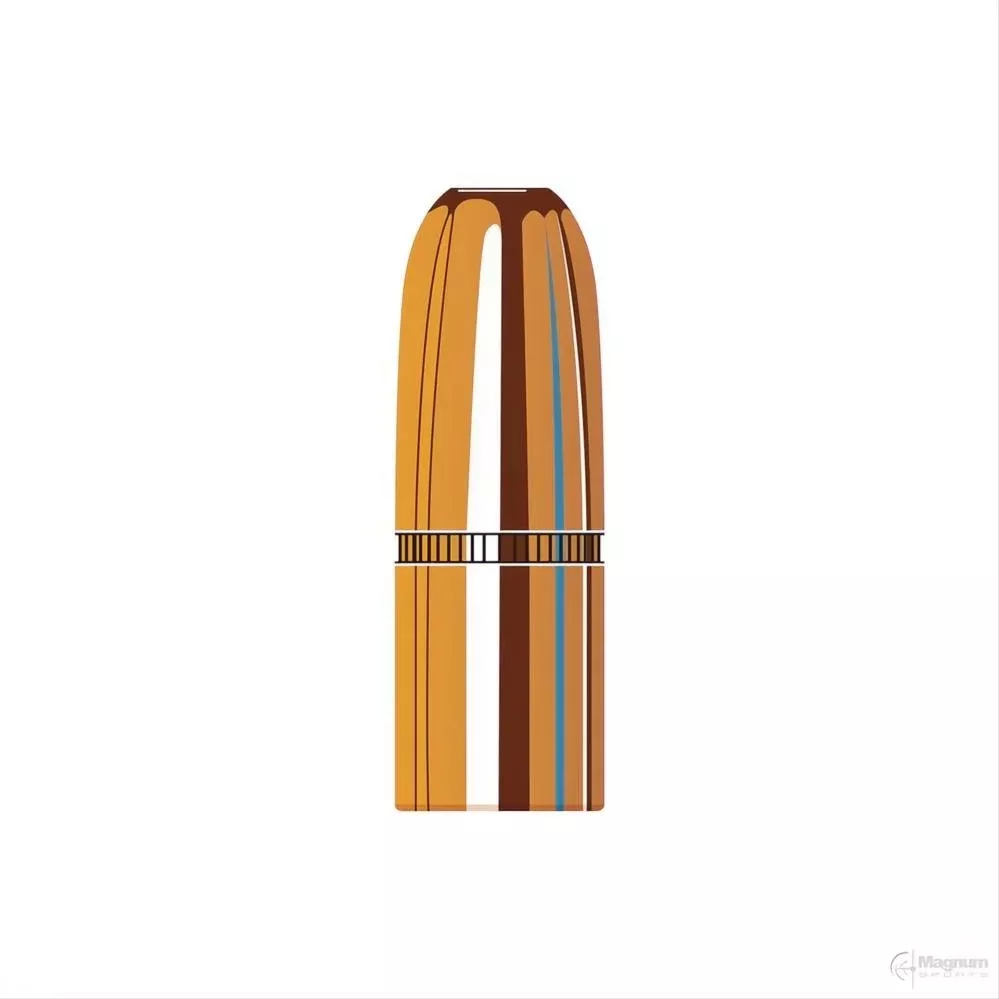 Hornady 45 Cal (.458 Diameter) DGS 500gr Projectiles