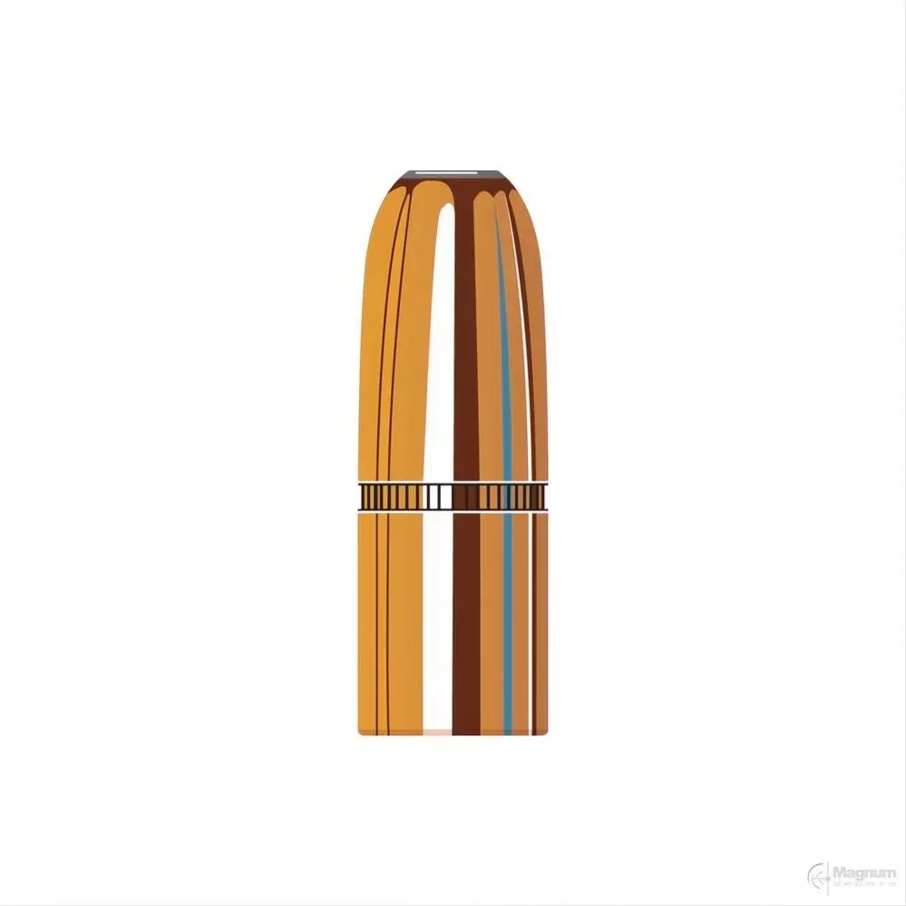 Hornady 45 Cal (.458 Diameter) DGX Bonded 500gr Projectiles