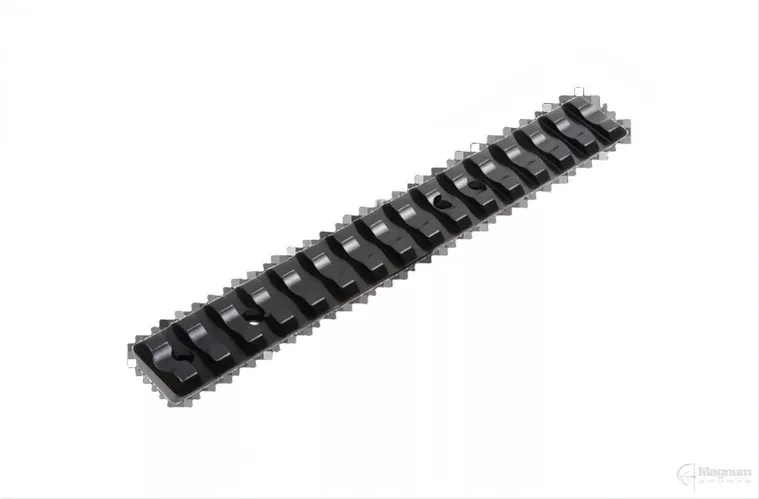 Recknagel Ruger 10/22 Picatinny Rail