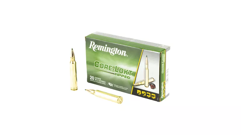 REM 300 WIN MAG 180GR CL TIP