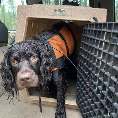 RUFF LAND MEDIUM KENNEL