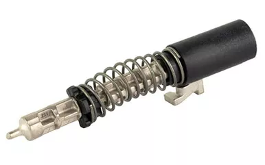 SIG P365 SLIDE COMPLETION KIT