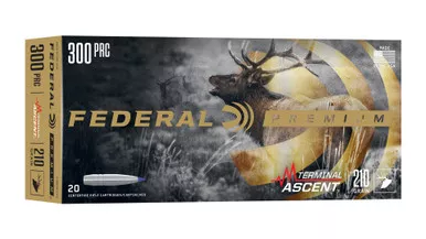 TERMINAL ASCENT 300PRC RIFLE AMMO 210GR 20RDS