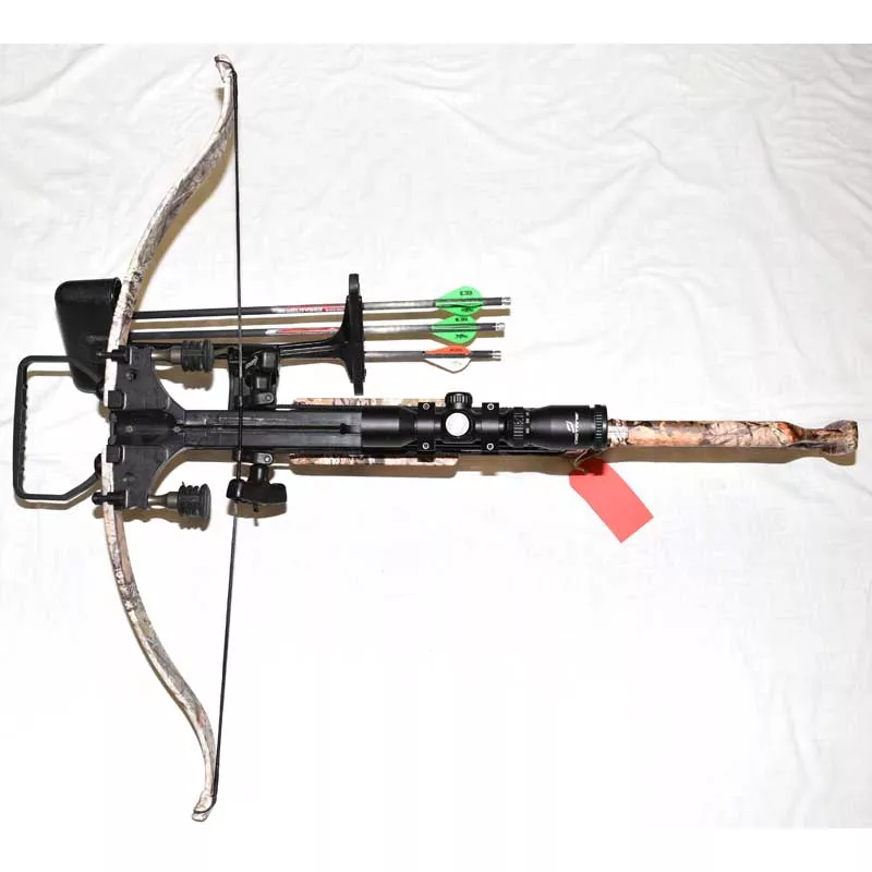 USED EXCALIBUR GRIZZLY 305 PKG