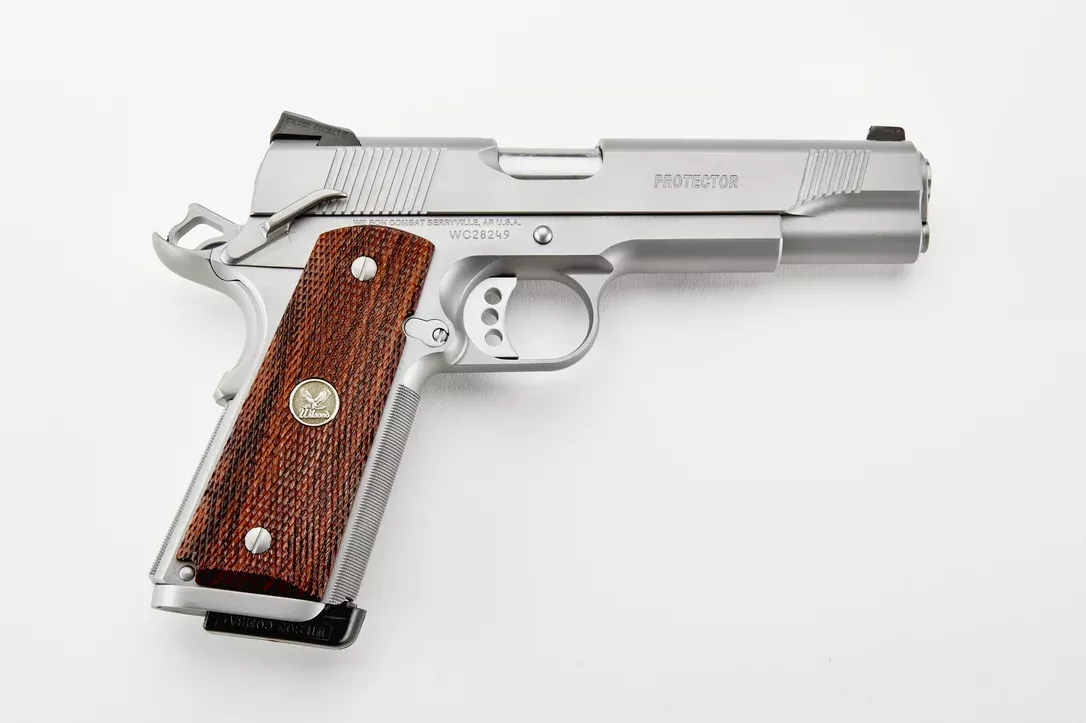 Wilson Combat Protector .45 ACP 5 – inch SS 8+1